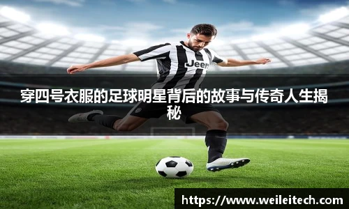 星空·综合体育